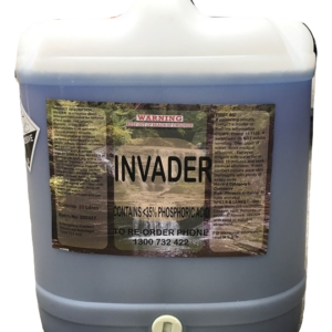 Invader